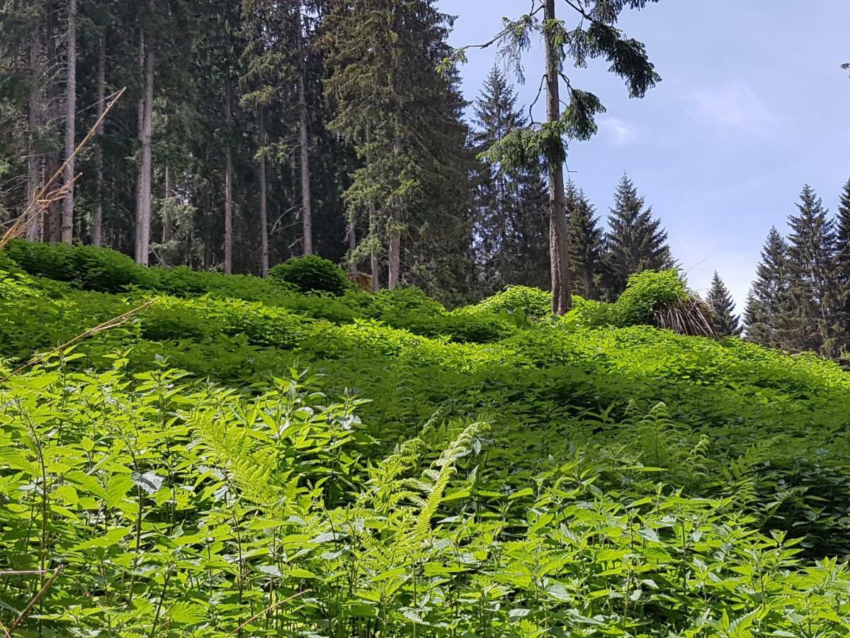 Appartements Burtscher Klosterle am Arlberg Eksteriør billede