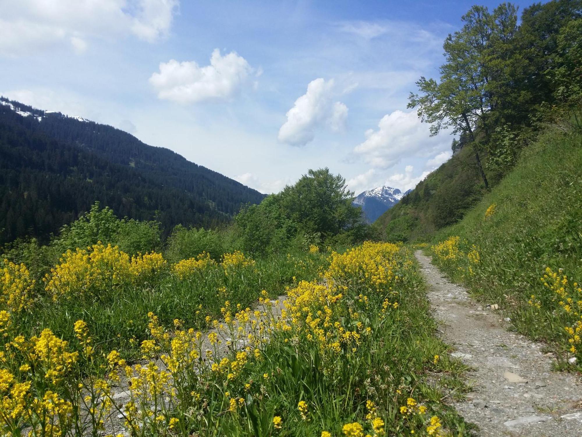 Appartements Burtscher Klosterle am Arlberg Eksteriør billede